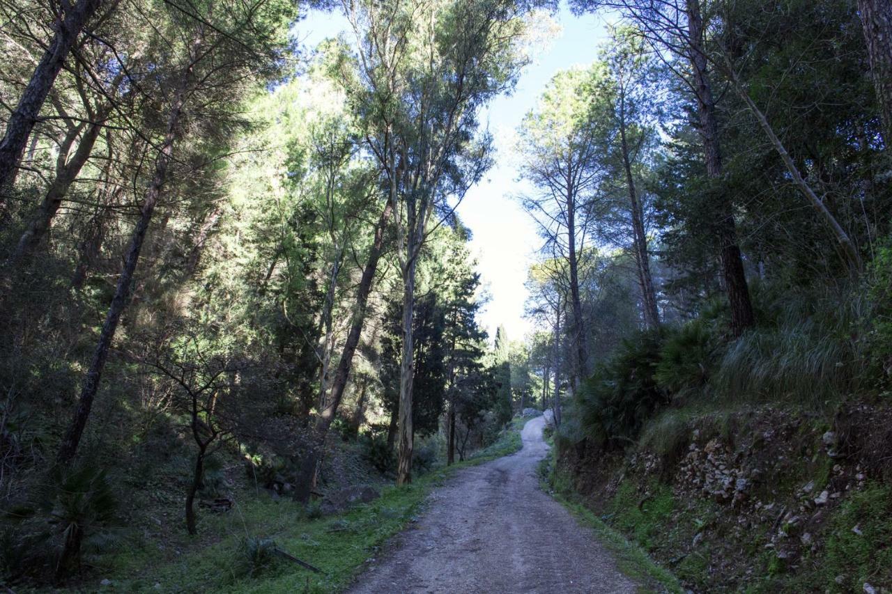 La Dimora Di Segesta B&B Calatafimi Εξωτερικό φωτογραφία
